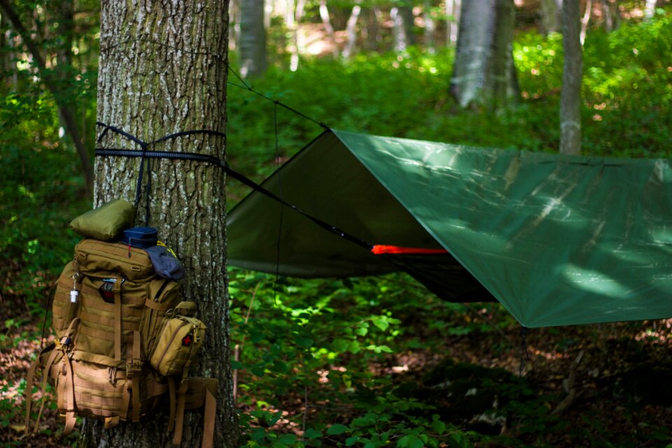 Survival stock trekking