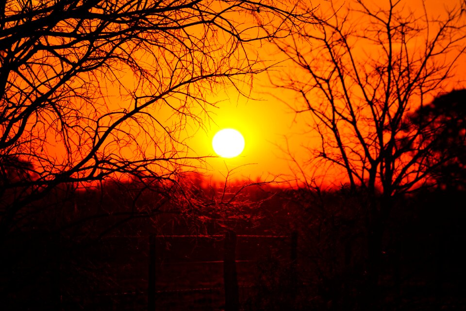 Light landscape horizon