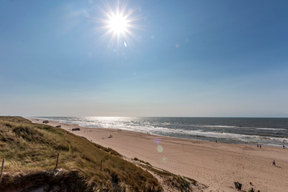 Beach nature landscape