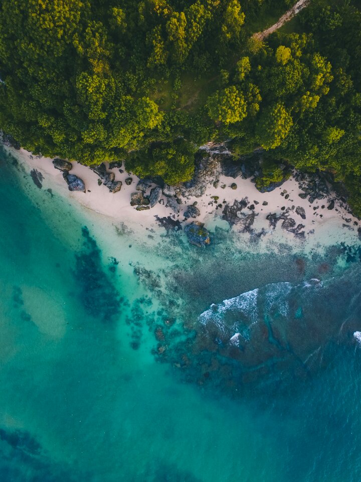 Nature beach blue photo