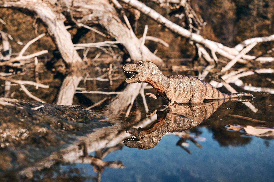 Dinosaur lake tyrannosaurus