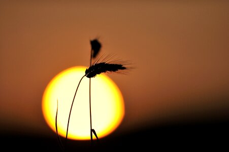 Sunset sunrise mood