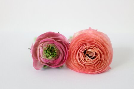 Lightweight components flowers pink