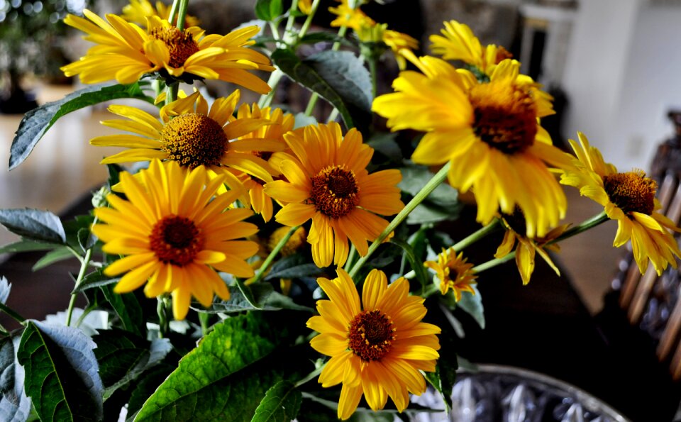 Bouquet color natural