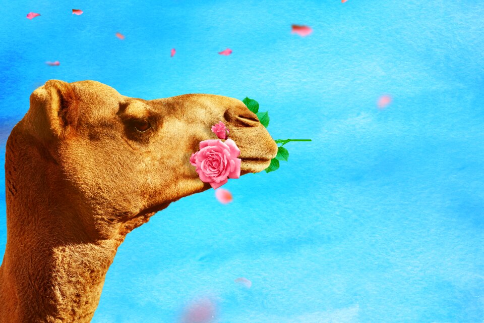 Background texture funny
