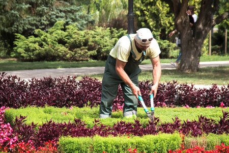 Gardener employee man