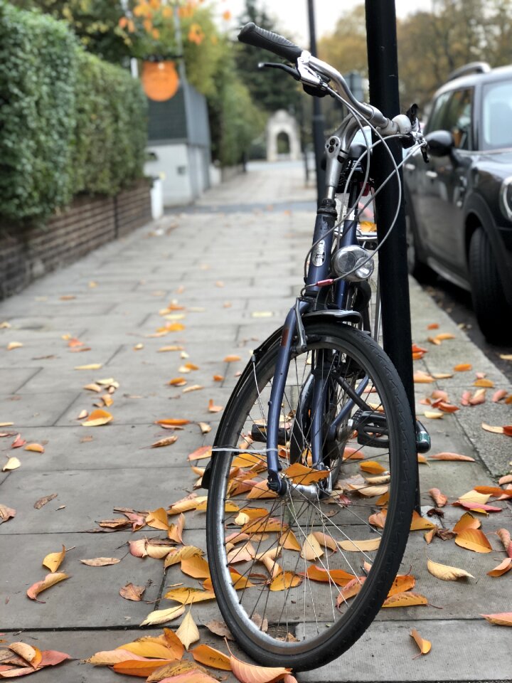 Leaves london gray bike