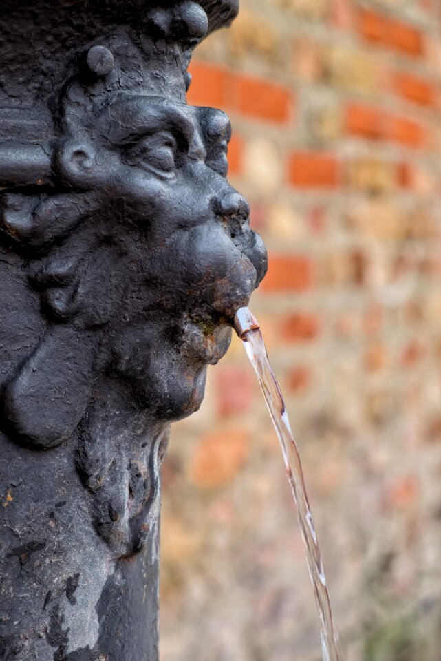 Lion lion head italy