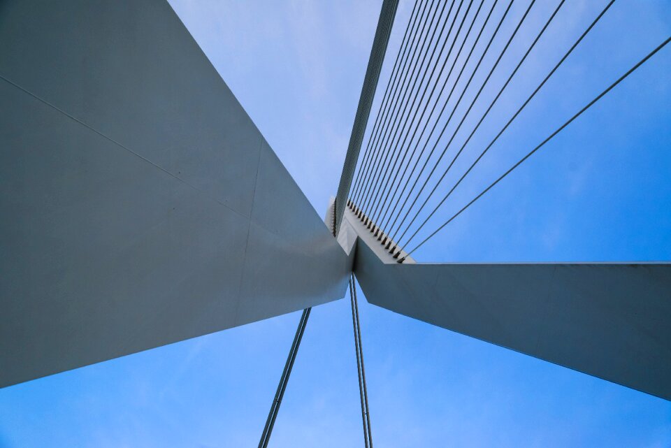 Dutch netherlands dutch design