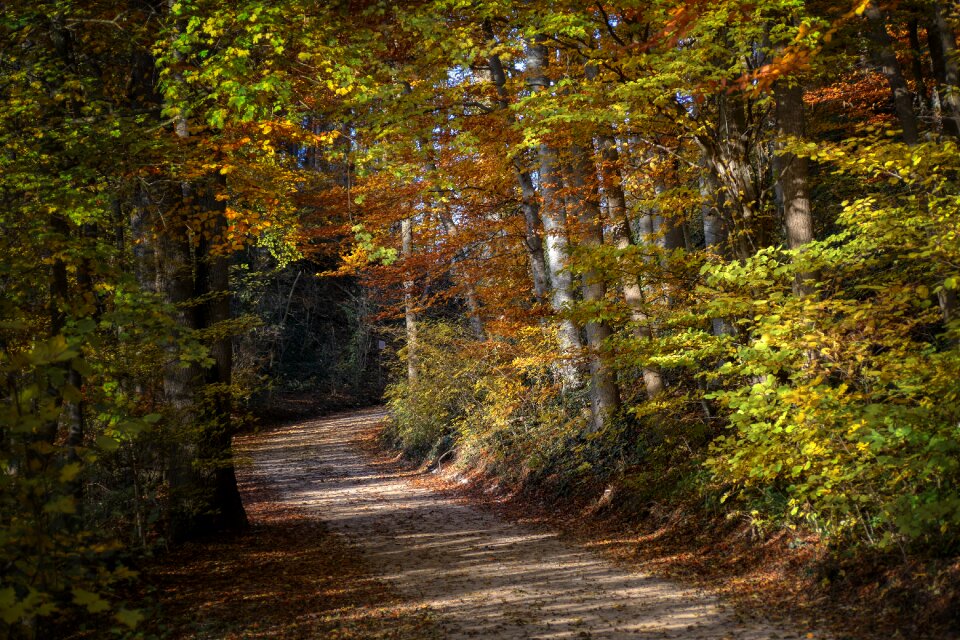 Autumn away abendstimmung