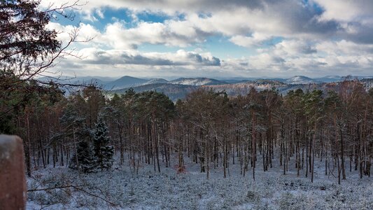Snow landscape trees photo