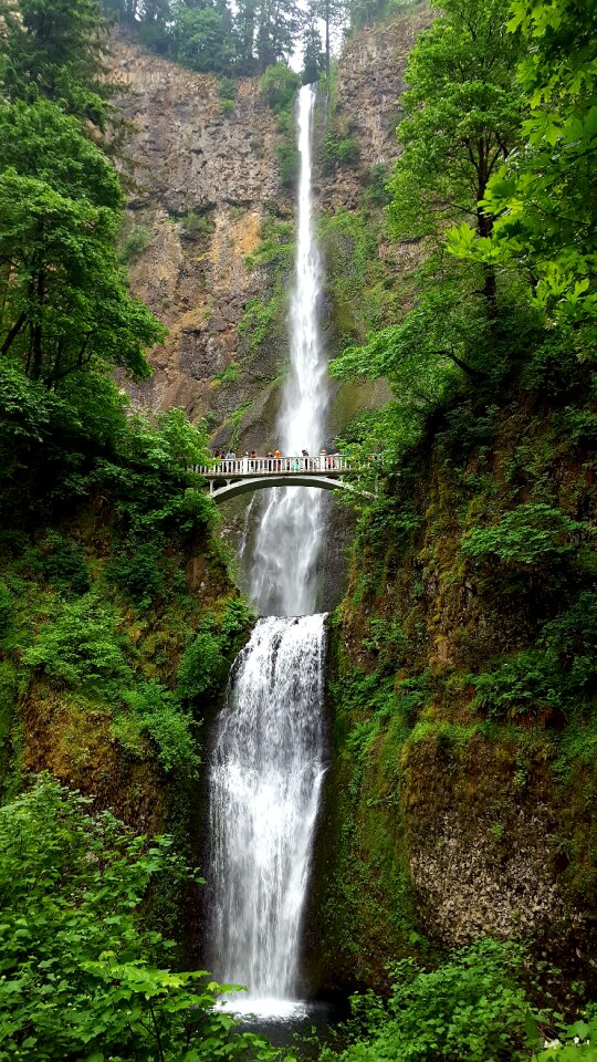 Nature usa water