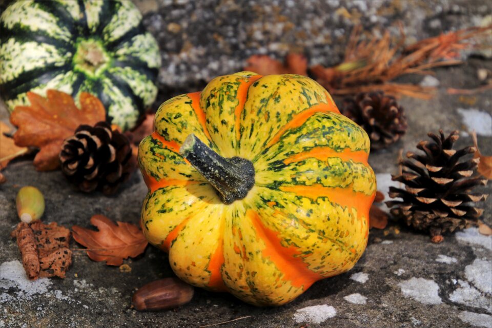 Yellow halloween collapse
