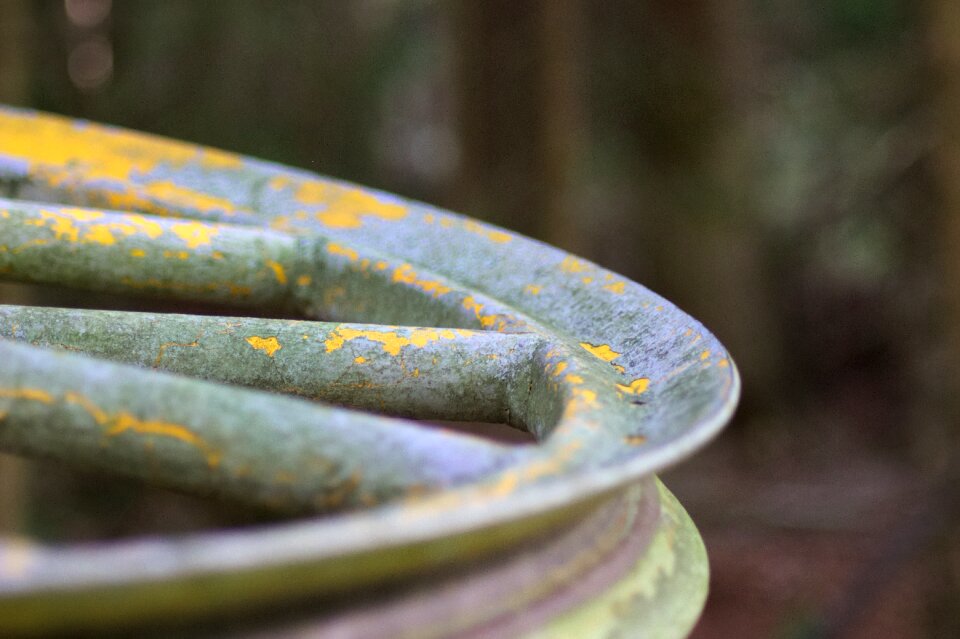 Out of focus outdoor nature