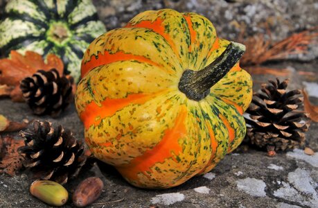 Decoration parish season