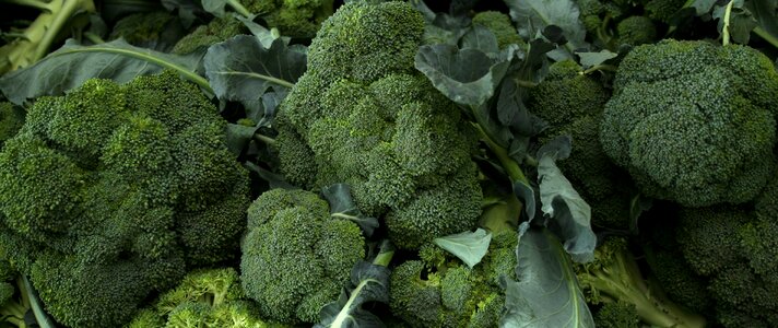 Vegetables food sano