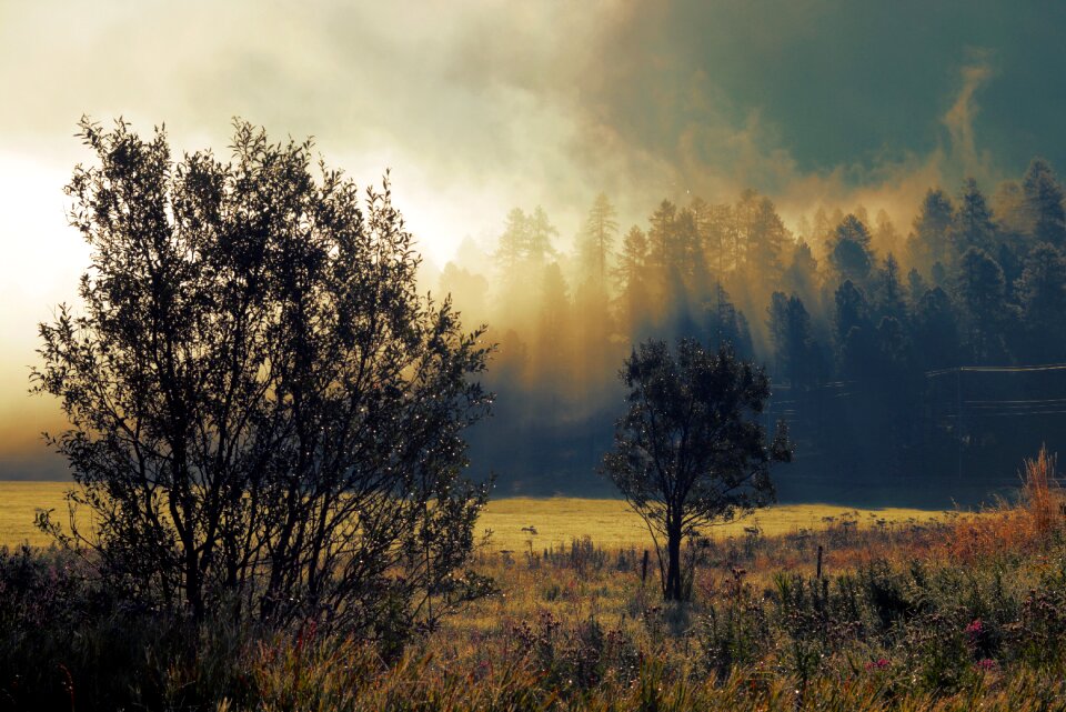 Mood sunrise landscape