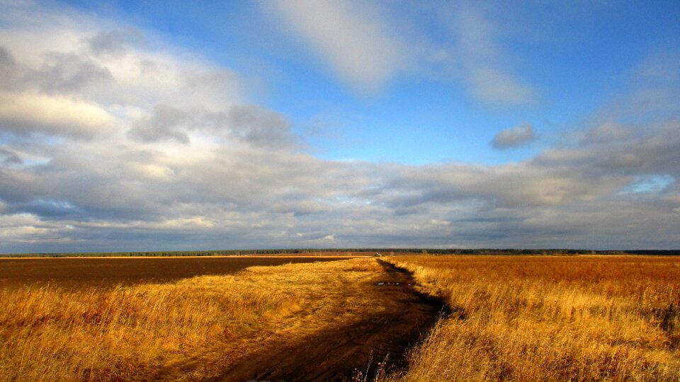 Rye wheat trail