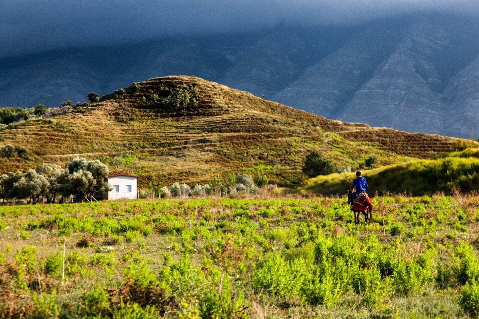 Hill atmosphere donkey