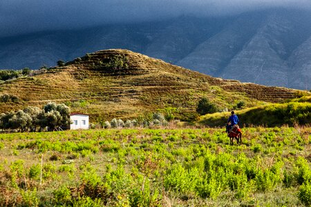 Hill atmosphere donkey