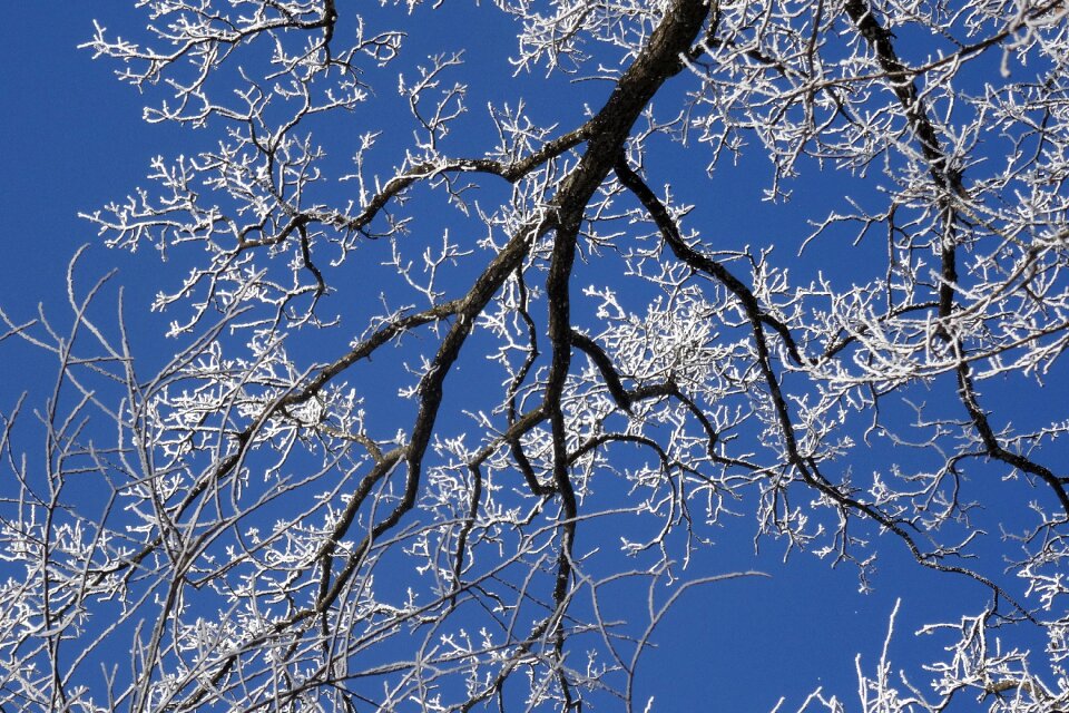 Cold ice nature