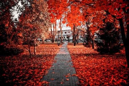 Colors colour nature