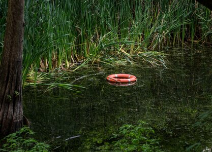 Water nature landscape