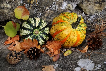 Halloween vegetables variety