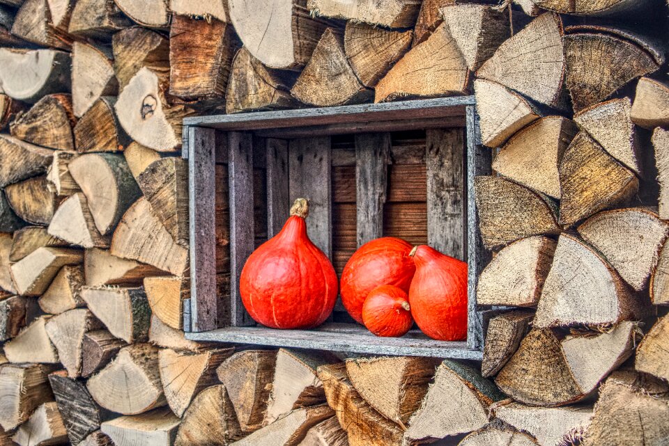 Eat decoration wood