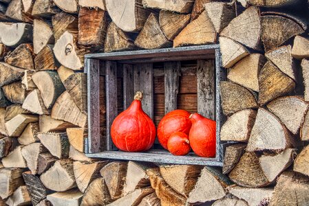 Eat decoration wood