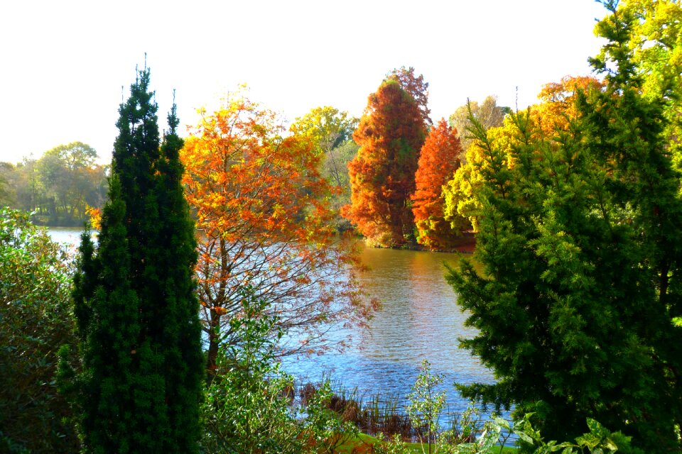 Color sheffield park nature