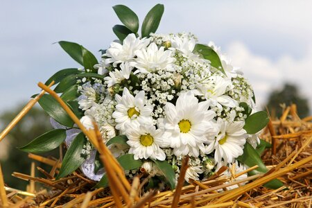Autumn white romance