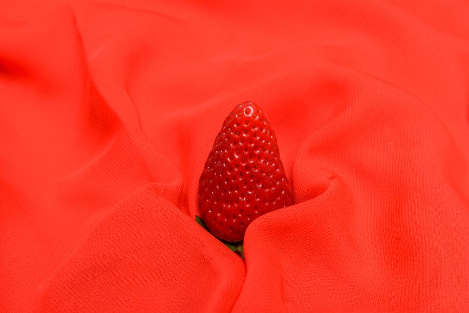 Fruit fresh delicious