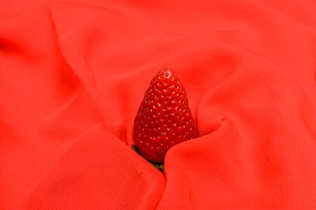 Fruit fresh delicious