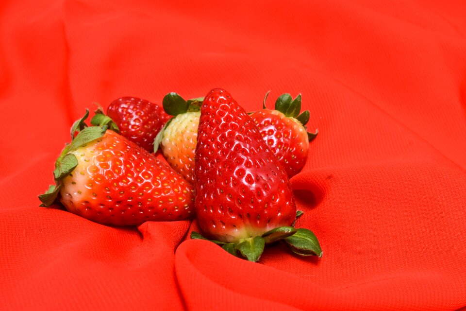 Fruit fresh delicious