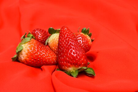 Fruit fresh delicious