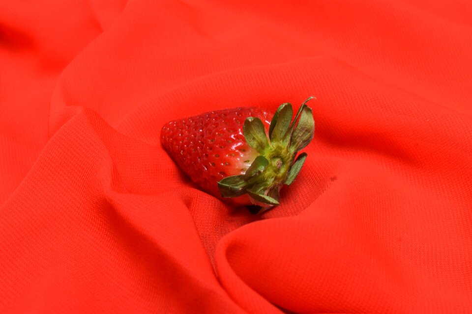 Fruit fresh delicious