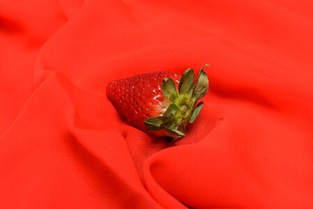 Fruit fresh delicious