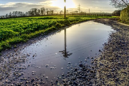 Sun backlighting landscape