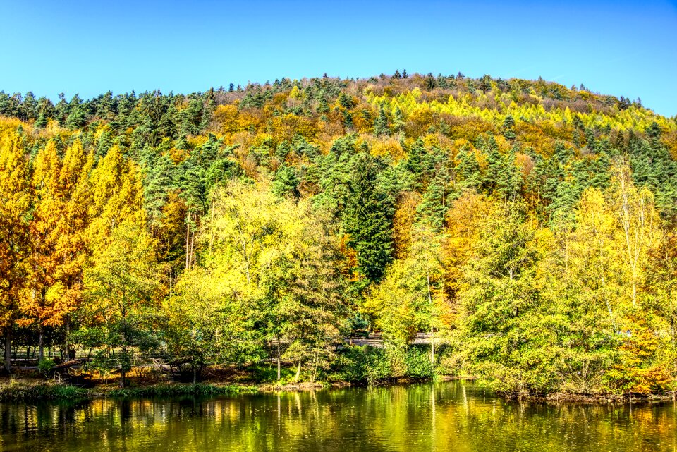 Autumn color sun