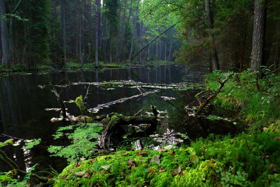 The tract nature mood