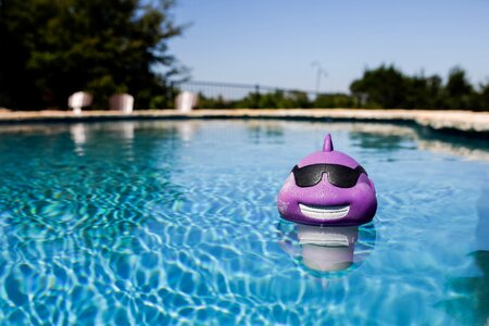 Purple summer outdoor