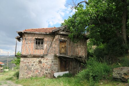 Village tree housing photo