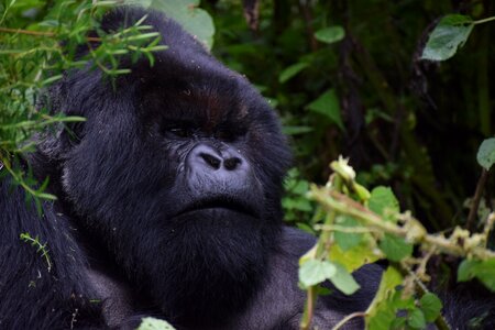 Africa travel nature