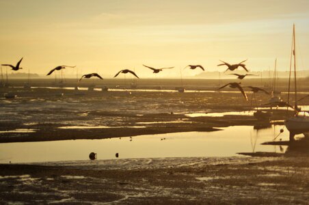 Sea nature landscape