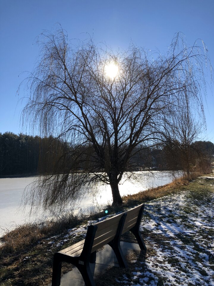 Lake sky scenery
