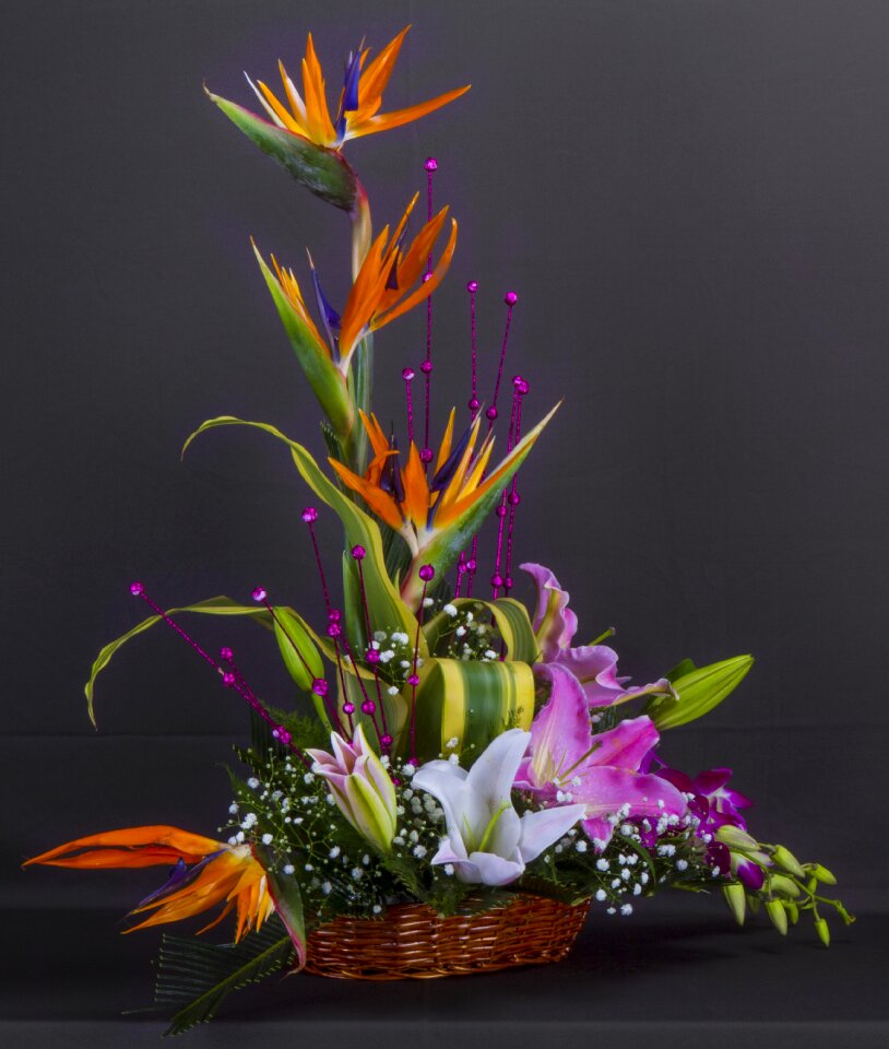 Flowers display special