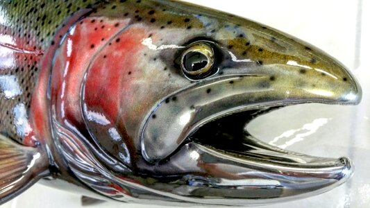 Polished stainless fish trout art