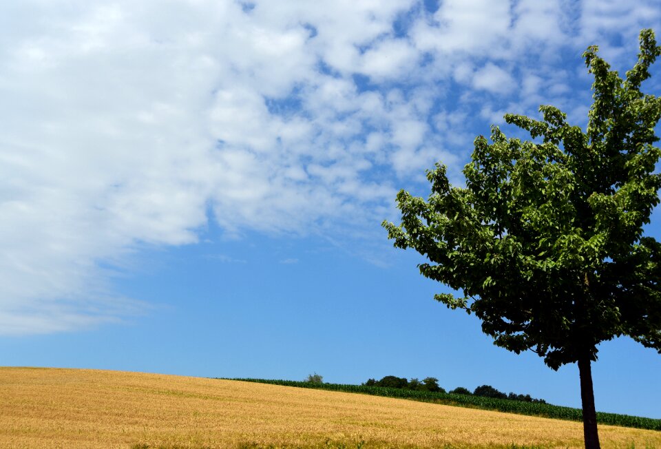 Nature agriculture clouds