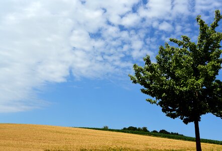 Nature agriculture clouds photo